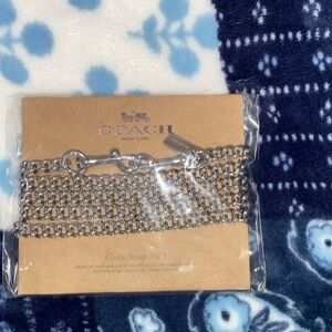 Coach Metallic Chain Strap